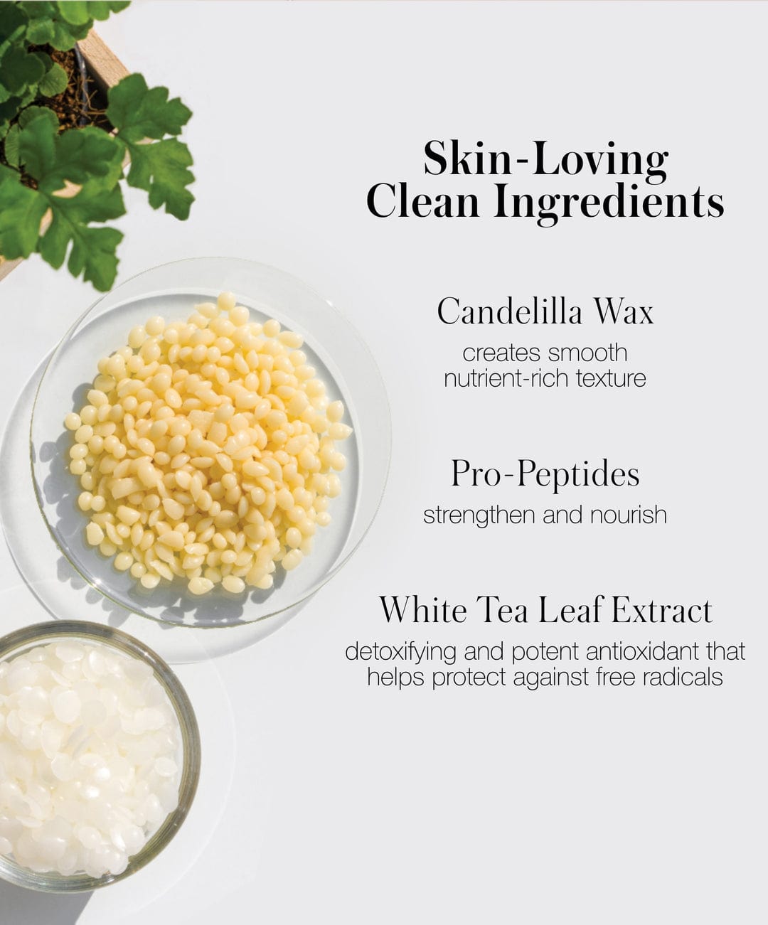 RMS mascara Straight Up™ Volumizing Peptide Mascara (Black) sunja link - canada