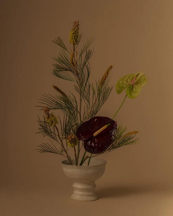 Gift Guide 2022: Under $50