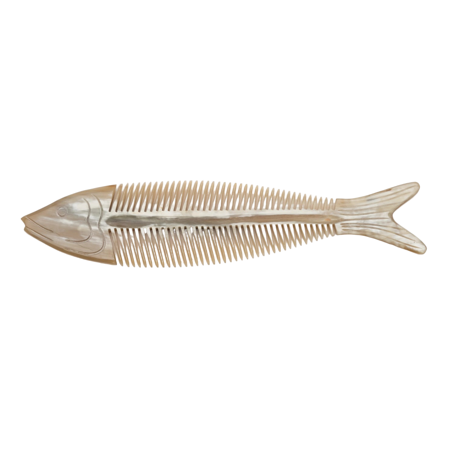Fish Horn Comb