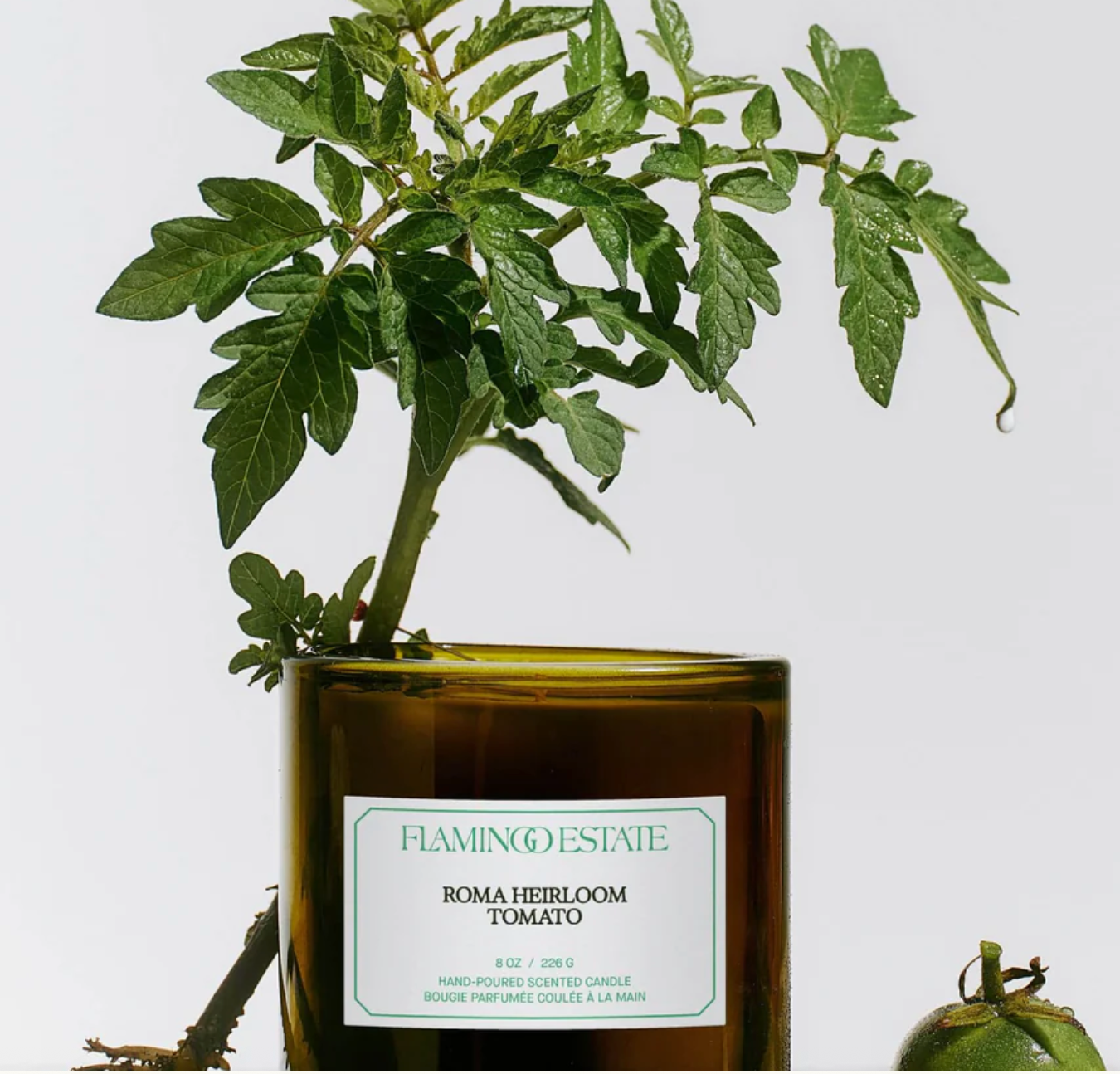 Roma Heirloom Tomato Candle