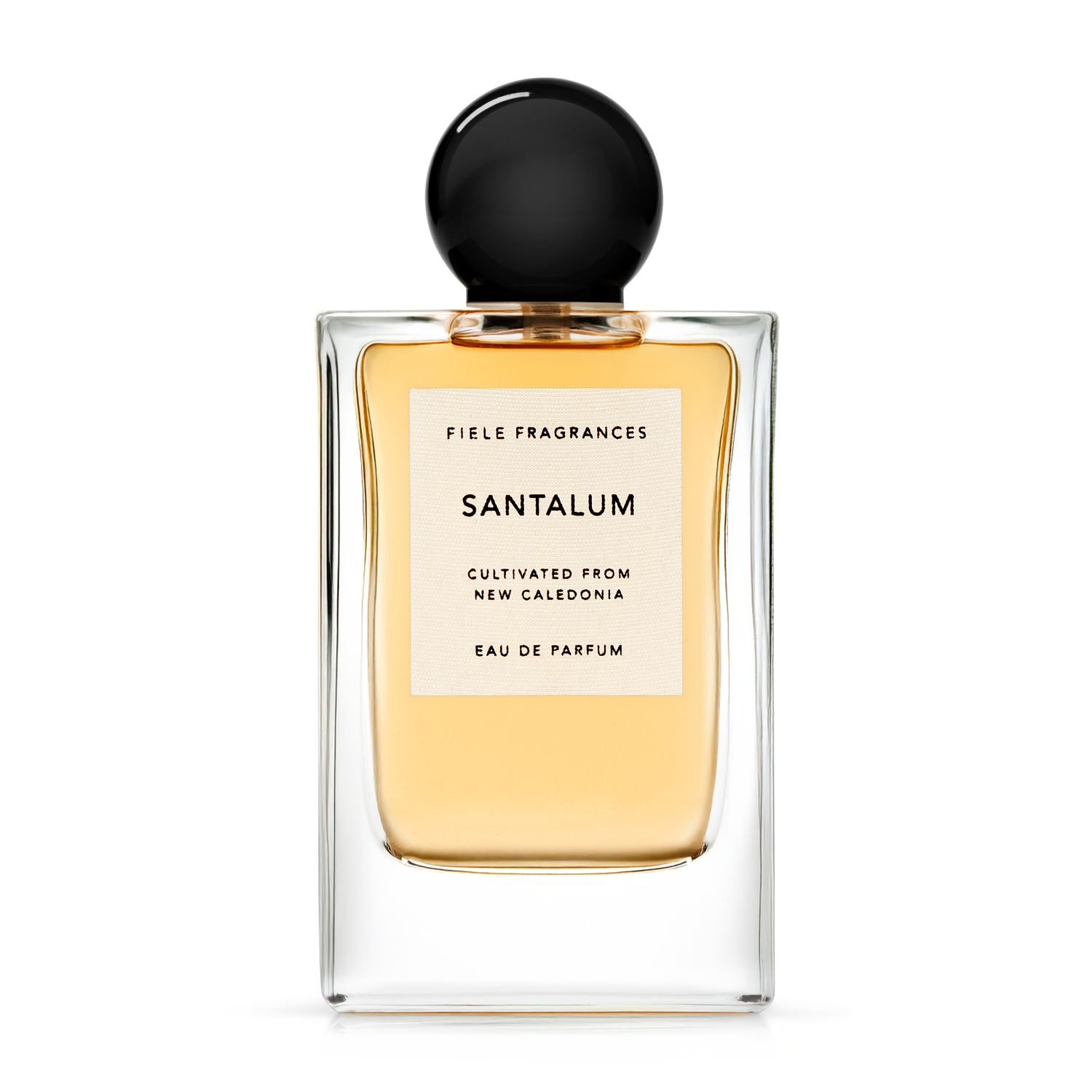Santalum